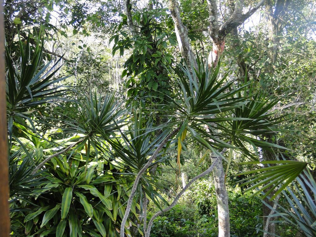 Pousada Lembrança Florianópolis Extérieur photo